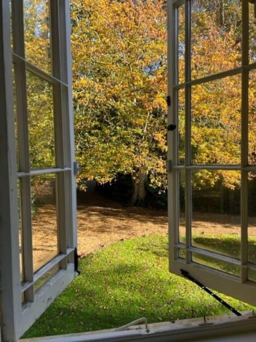 Landford'S Cottage, Your Retreat! Luaran gambar